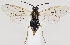  ( - ZMUO.037258)  @12 [ ] CreativeCommons - Attribution Non-Commercial (2019) Marko Mutanen University of Oulu