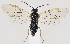  ( - ZMUO.037261)  @11 [ ] CreativeCommons - Attribution Non-Commercial (2019) Marko Mutanen University of Oulu