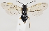  ( - ZMUO.037269)  @11 [ ] CreativeCommons - Attribution Non-Commercial (2019) Marko Mutanen University of Oulu