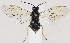  ( - ZMUO.037275)  @11 [ ] CreativeCommons - Attribution Non-Commercial (2019) Marko Mutanen University of Oulu