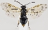  ( - ZMUO.037292)  @11 [ ] CreativeCommons - Attribution Non-Commercial (2019) Marko Mutanen University of Oulu