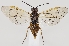  ( - ZMUO.037295)  @12 [ ] CreativeCommons - Attribution Non-Commercial (2019) Marko Mutanen University of Oulu