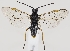 ( - ZMUO.037305)  @13 [ ] CreativeCommons - Attribution Non-Commercial (2019) Marko Mutanen University of Oulu