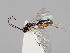  ( - ZMUO.037728)  @13 [ ] CreativeCommons - Attribution Non-Commercial (2018) Marko Mutanen University of Oulu