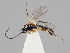  ( - ZMUO.037733)  @13 [ ] CreativeCommons - Attribution Non-Commercial (2018) Marko Mutanen University of Oulu