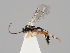  ( - ZMUO.037739)  @13 [ ] CreativeCommons - Attribution Non-Commercial (2018) Marko Mutanen University of Oulu