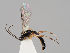 ( - ZMUO.037741)  @13 [ ] CreativeCommons - Attribution Non-Commercial (2018) Marko Mutanen University of Oulu