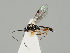  ( - ZMUO.037759)  @13 [ ] CreativeCommons - Attribution Non-Commercial (2018) Marko Mutanen University of Oulu