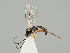  ( - ZMUO.037760)  @13 [ ] CreativeCommons - Attribution Non-Commercial (2018) Marko Mutanen University of Oulu