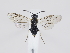  ( - ZMUO.038741)  @11 [ ] by-nc (2020) Marko Mutanen University of Oulu