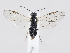  ( - ZMUO.038895)  @11 [ ] by-nc (2020) Marko Mutanen University of Oulu