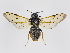 ( - ZMUO.039016)  @11 [ ] by-nc (2020) Marko Mutanen University of Oulu