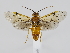  ( - ZMUO.039351)  @11 [ ] by-nc (2020) Marko Mutanen University of Oulu