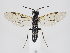  ( - ZMUO.039361)  @12 [ ] by-nc (2020) Marko Mutanen University of Oulu