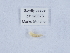  ( - ZMUO.039399)  @11 [ ] by-nc (2020) Marko Mutanen University of Oulu