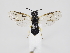  ( - ZMUO.039955)  @11 [ ] by-nc (2020) Marko Mutanen University of Oulu