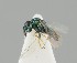  ( - ZMUO.041499)  @11 [ ] by-nc (2018) Marko Mutanen University of Oulu