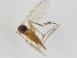  ( - ZMUO.043363)  @11 [ ] by-nc (2021) Marko Mutanen University of Oulu