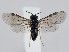  ( - ZMUO.044000)  @11 [ ] by-nc (2021) Marko Mutanen University of Oulu