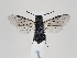 ( - ZMUO.044469)  @11 [ ] by-nc (2021) Marko Mutanen University of Oulu