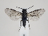  ( - ZMUO.044471)  @11 [ ] by-nc (2021) Marko Mutanen University of Oulu