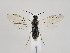  ( - ZMUO.045001)  @11 [ ] by-nc (2021) Marko Mutanen University of Oulu