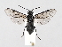  ( - ZMUO.046254)  @11 [ ] by-nc (2021) Marko Mutanen University of Oulu