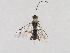  ( - ZMUO.046500)  @13 [ ] by-nc (2021) Marko Mutanen University of Oulu