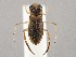  ( - ZMUO.046557)  @11 [ ] by-nc (2021) Marko Mutanen University of Oulu