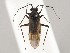  ( - ZMUO.046655)  @11 [ ] by-nc (2021) Marko Mutanen University of Oulu