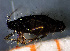  ( - ZMUO.047330)  @11 [ ] by-nc (2022) Erkka Laine University of Oulu