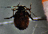  ( - ZMUO.047334)  @11 [ ] by-nc (2022) Erkka Laine University of Oulu