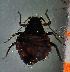  ( - ZMUO.047335)  @11 [ ] by-nc (2022) Erkka Laine University of Oulu