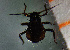  ( - ZMUO.047336)  @11 [ ] by-nc (2022) Erkka Laine University of Oulu