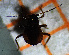  ( - ZMUO.047337)  @11 [ ] by-nc (2022) Erkka Laine University of Oulu