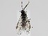  ( - ZMUO.058715)  @11 [ ] by-nc (2022) Marko Mutanen University of Oulu
