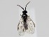 ( - ZMUO.058860)  @11 [ ] by-nc (2022) Marko Mutanen University of Oulu