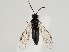  ( - ZMUO.059000)  @11 [ ] by-nc (2022) Marko Mutanen University of Oulu