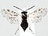  ( - ZMUO.063092)  @11 [ ] by-nc (2023) Marko Mutanen University of Oulu