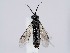  ( - ZMUO.063564)  @11 [ ] by-nc (2023) Marko Mutanen University of Oulu