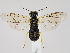  ( - ZMUO.063577)  @11 [ ] by-nc (2023) Marko Mutanen University of Oulu