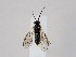  ( - ZMUO.063962)  @11 [ ] by-nc (2023) Marko Mutanen University of Oulu