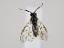  ( - ZMUO.064287)  @11 [ ] by-nc (2023) Marko Mutanen University of Oulu