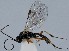  ( - ZMUO.064938)  @11 [ ] by-nc (2022) Marko Mutanen University of Oulu