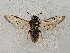  ( - ZMUO.065132)  @11 [ ] by-nc (2023) Marko Mutanen University of Oulu
