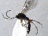  ( - ZMUO.066558)  @11 [ ] by-nc (2023) Pirjo Appelgren Friendship Park Research Centre