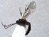  ( - ZMUO.066561)  @11 [ ] by-nc (2023) Pirjo Appelgren Friendship Park Research Centre