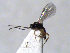  ( - ZMUO.066601)  @11 [ ] by-nc (2023) Pirjo Appelgren Friendship Park Research Centre
