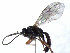  ( - ZMUO.066760)  @11 [ ] by-nc (2023) Pirjo Appelgren Friendship Park Research Centre