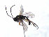  ( - ZMUO.066769)  @11 [ ] by-nc (2023) Pirjo Appelgren Friendship Park Research Centre